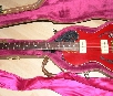 Gibson Blueshawk