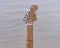 Fender Stratocaster