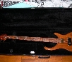 ALEMBIC Excel 5