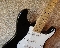 Fender Standart Stratocaster