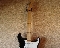 Fender Standart Stratocaster