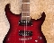 Washburn X-50 PROQ
