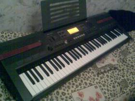 Casio WK-110.CTK-810