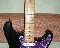 Fender Stratocaster