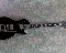 Burny BLC70 BLK Les Paul Florentine Groovy