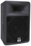 Peavey 15P