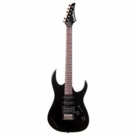 Washburn WR120