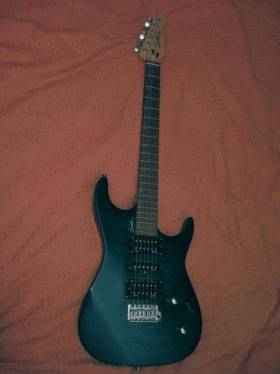 Godin FW Classic Trnsblue FL RN 25800