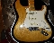 Fender Standart Stratocaster