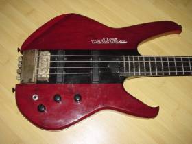 Washburn Status Series 1000