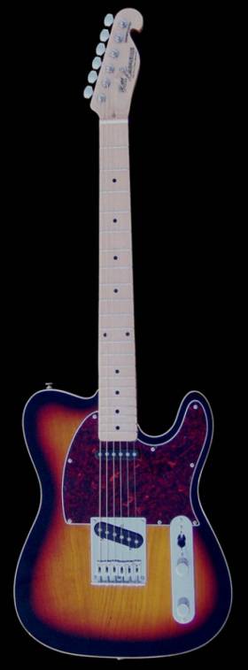 Bill Lawrence Swampkaster T