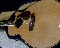 Takamine TNV460SC