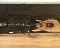 Carvin DC 727 KOA