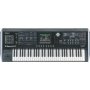 Roland V-Synth GT 61-key Variable Oscillator Synthesizer/Sampler