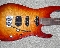 Washburn MG120 Custom Shop