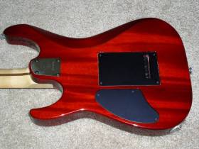 Washburn MG120 Custom Shop