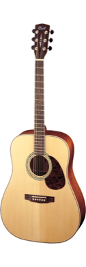 Cort Guitars Earth 100 Cort Guitars Earth 100