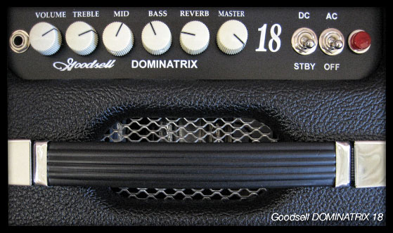 Goodsell Dominatrix 18