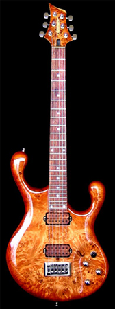Fibenare Guitar Erotic Dalmat