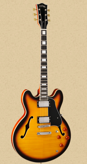 Titanic Guitars Rose