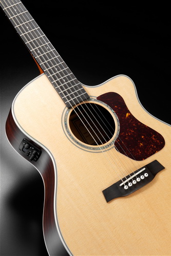 Walden Guitars G700CE Grand Auditorium