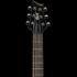 Cort Guitars представляет гитару Zenox Z-Custom1