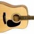 Recording King представляет акустическую гитару RD-310