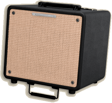 Ibanez представляет гитарный комбо Troubadour T80N