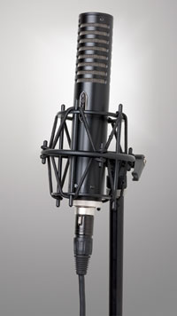 Royer Labs R-101 Ribbon Microphone