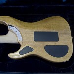 Stephen’s Extended Cutaway (SEC)